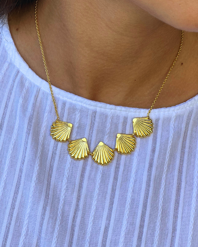 Collar 5 conchas