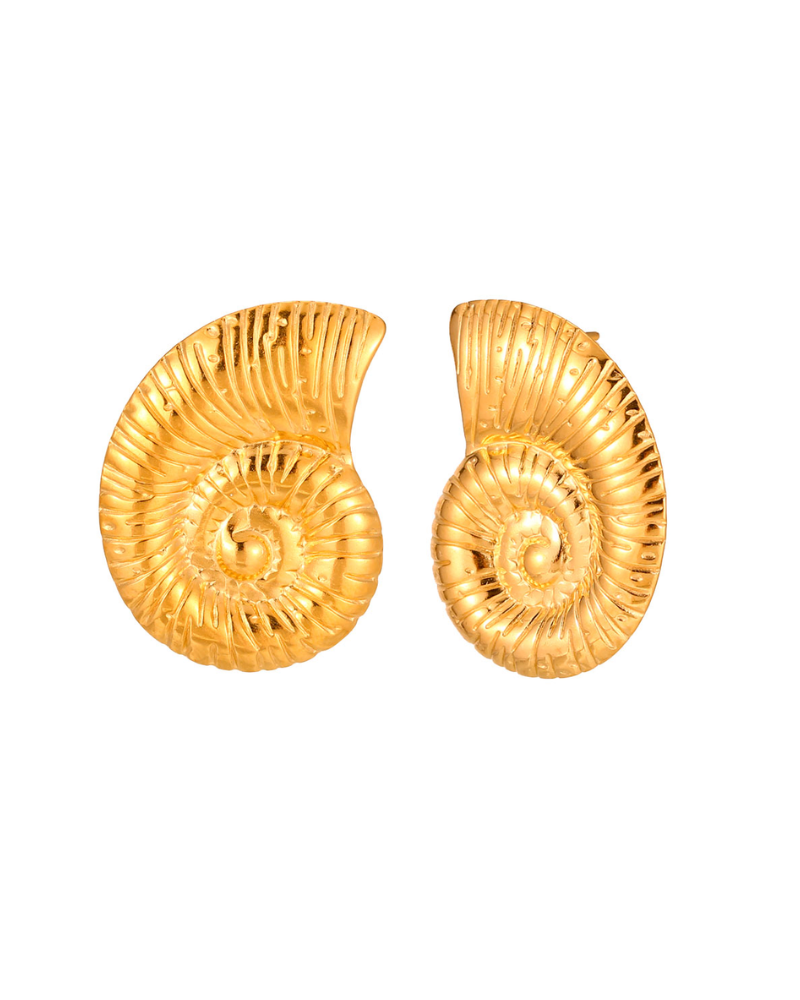 Pendientes Big Shell Acero