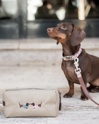 Neceser Love Dachshund