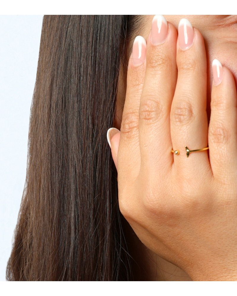 Anillo cola ballena