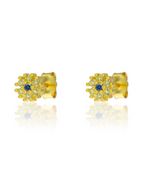Pendientes Flor lima