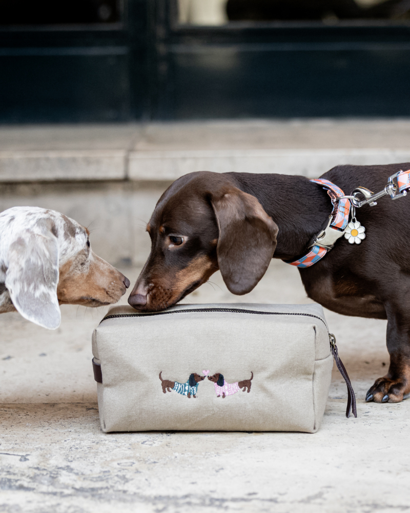 Neceser Love Dachshund