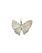 Charm Mariposa circonita Silver