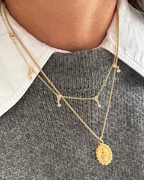 Collar Escapulario Virgen de la Milagrosa Acero