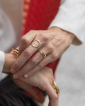 Anillo Dachshund