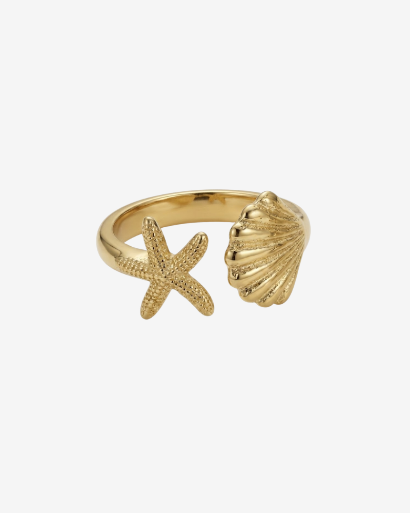 Anillo estrella con concha