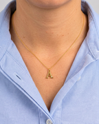 Collar inicial con circonita