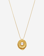 Collar ostra