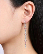 Pendientes Long circonitas silver