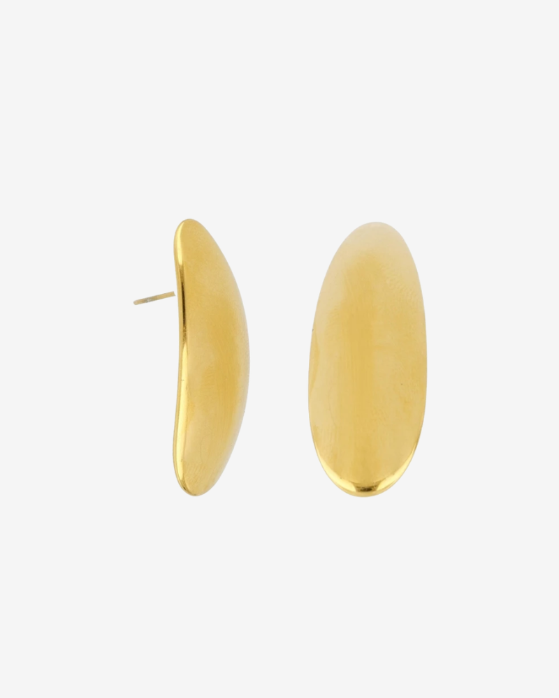 Pendientes pétalo largo