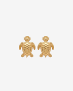 Pendientes tortuga