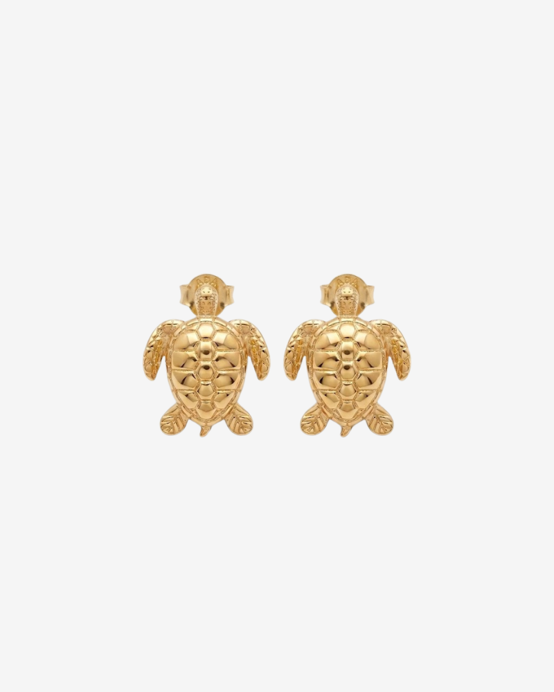 Pendientes tortuga
