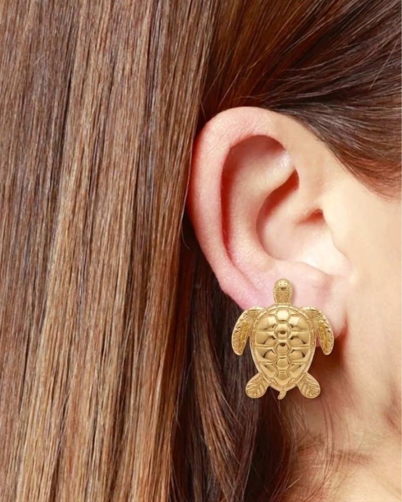 Pendientes tortuga