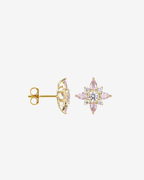 Pendientes pequeños en forma rosa de los vientos baño de oro con zirconitas rosa y blanco