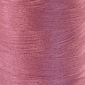 Rosa Antiguo