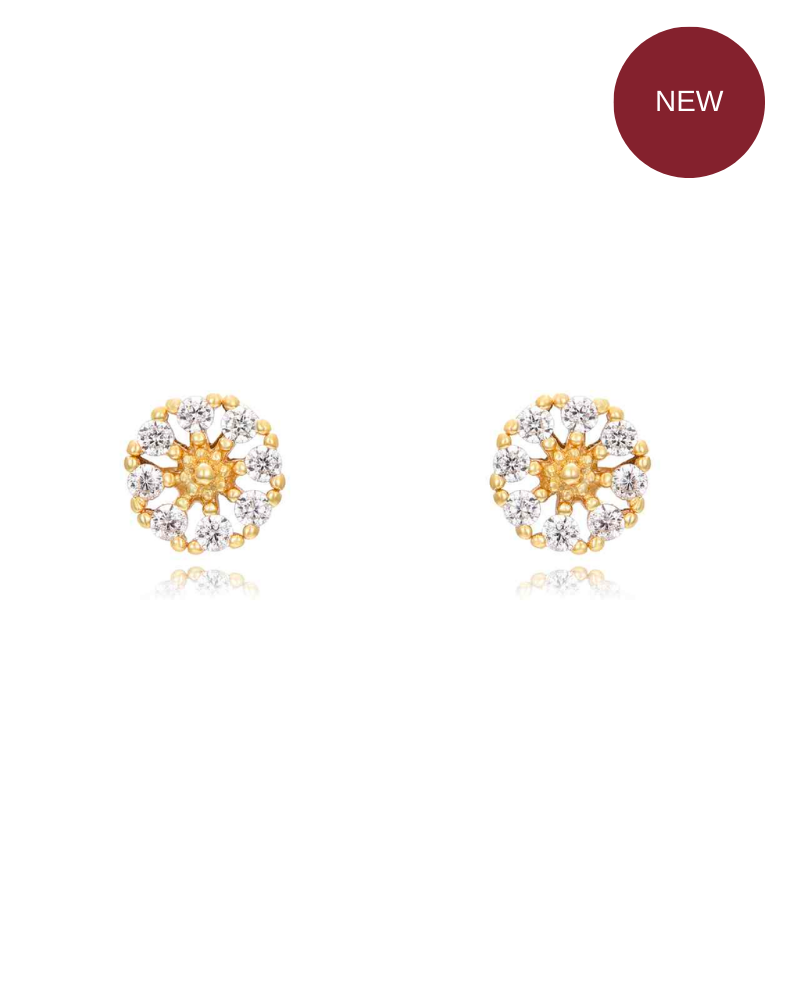 Pendientes Ami