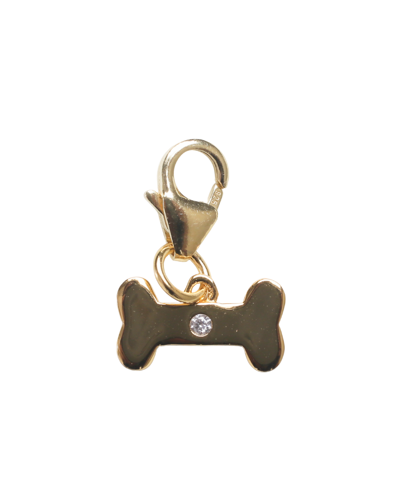 Charm Le petit chien