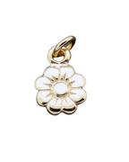 Charm flor