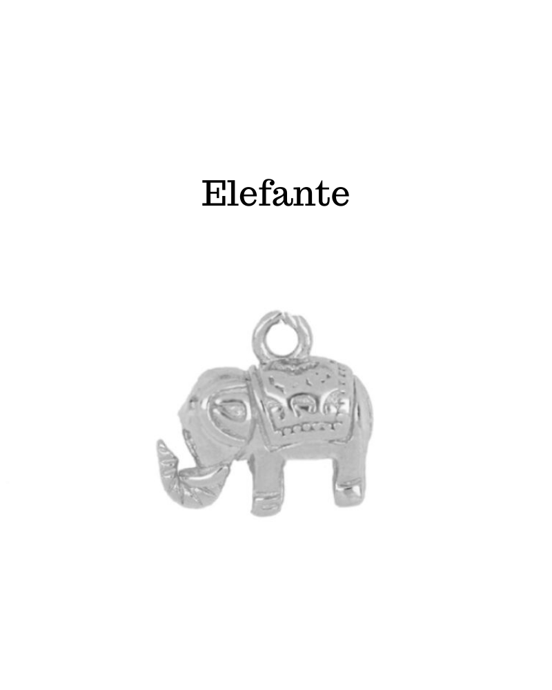 Charm Elefante
