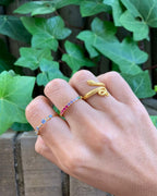 Anillo Spring