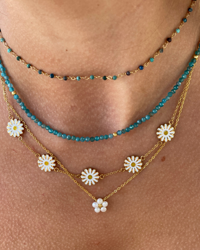 Chocker mineral Neo Appetitie