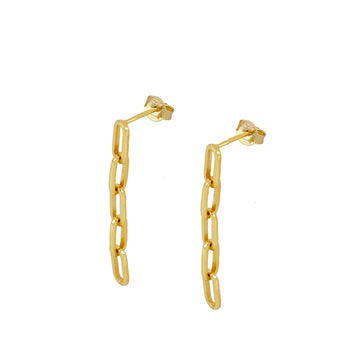 Long Link Earrings