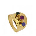 ANILLO NAGPUR