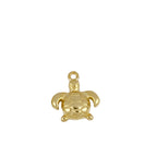 Charm tortuga