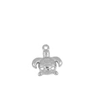Charm tortuga