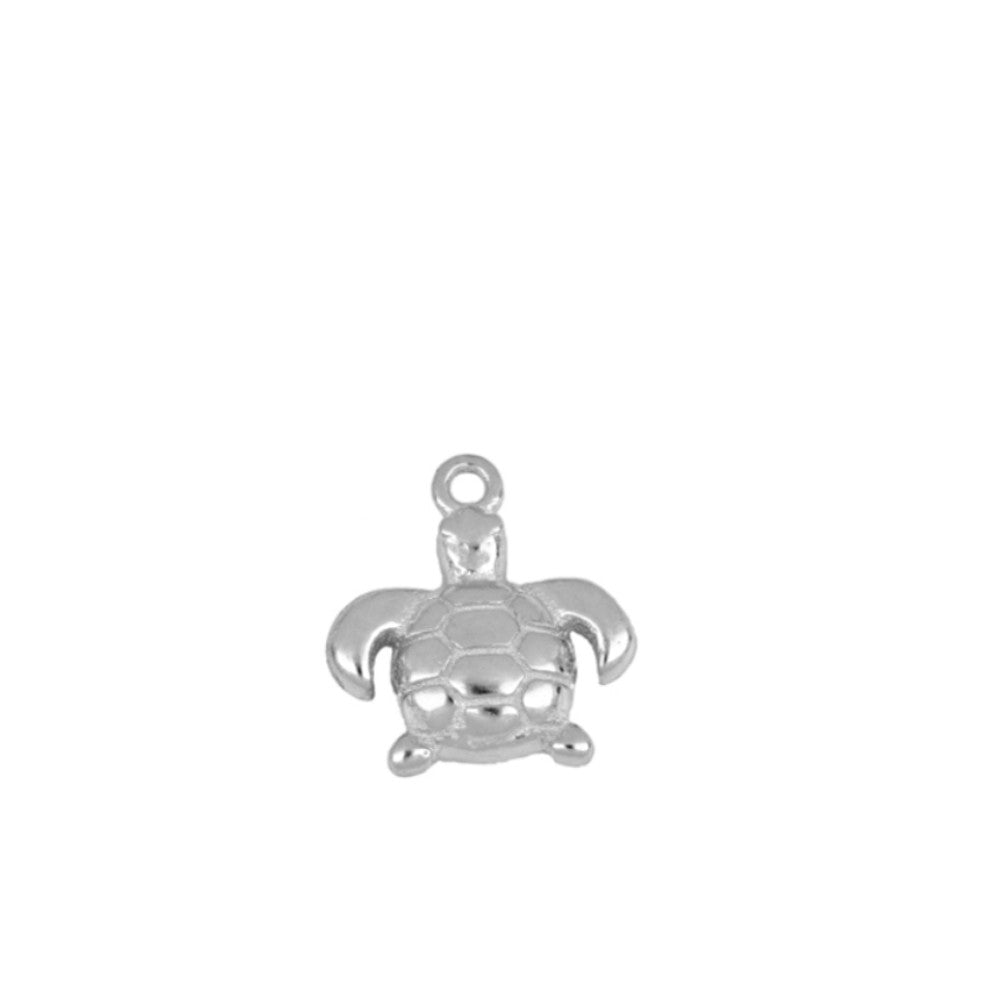 Charm tortuga