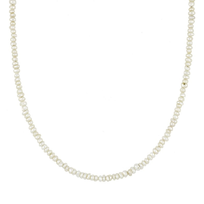 COLLAR CLASSIC