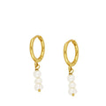 PENDIENTES TRES PERLAS